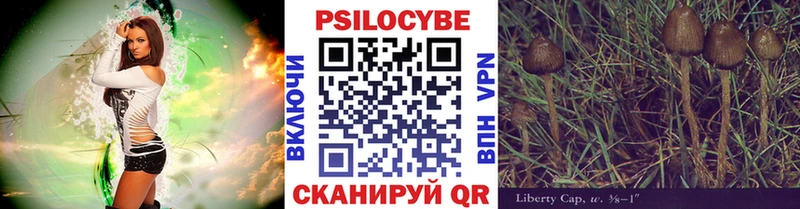 где купить   Ульяновск  Псилоцибиновые грибы Psilocybe 